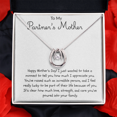 For My Partner's Mother