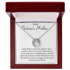 For My Partner's Mother